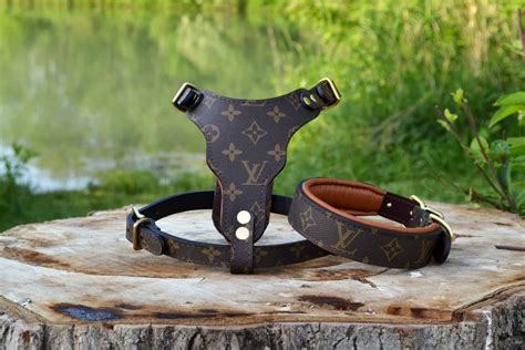 louis vuitton leather harness|louis vuitton collar and leash.